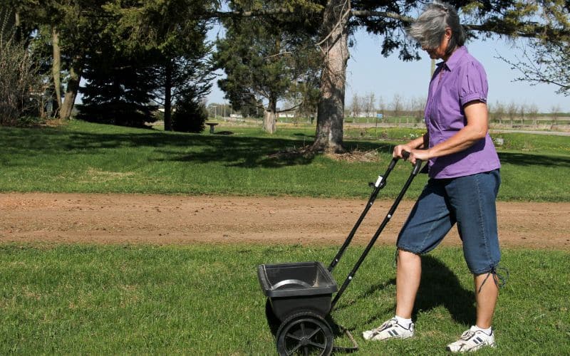 A woman pushing a spreader with grass fertilizer in it.