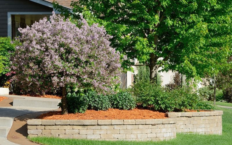 A front yard with a brick retaining wall and a tree.