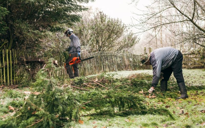 Two men using a chainsaw to prune a tree.