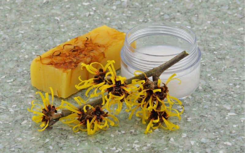 A jar of soap made from Witch Hazel tree