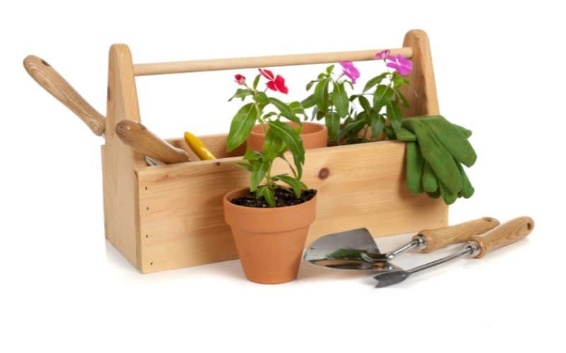 A wooden tool box with gardening tools and potted plants.