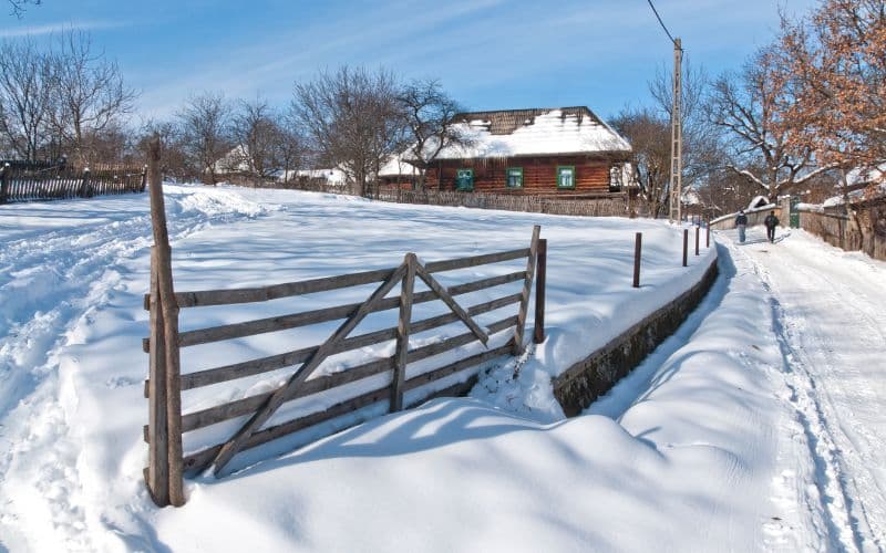 Best Natural Snow Fences