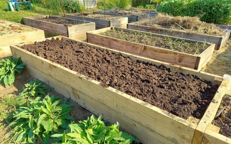Layered soil in raised garden beds showing different materials for optimal plant growth