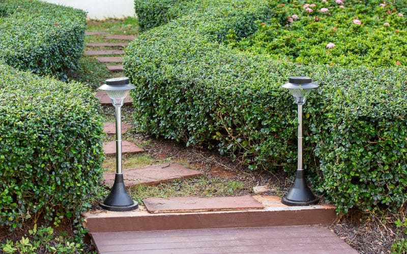 Eco-friendly solar garden lights showcasing cost-saving and sustainability