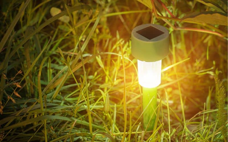 Various types of solar garden lights including pathway and spotlights for outdoor aesthetics