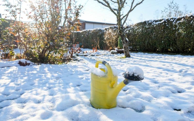 Snow blanketing a garden in winter, illustrating snow management challenges