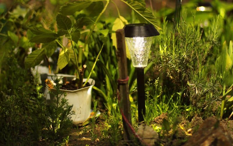 Illuminated solar garden lights at night, showcasing energy-efficient outdoor lighting
