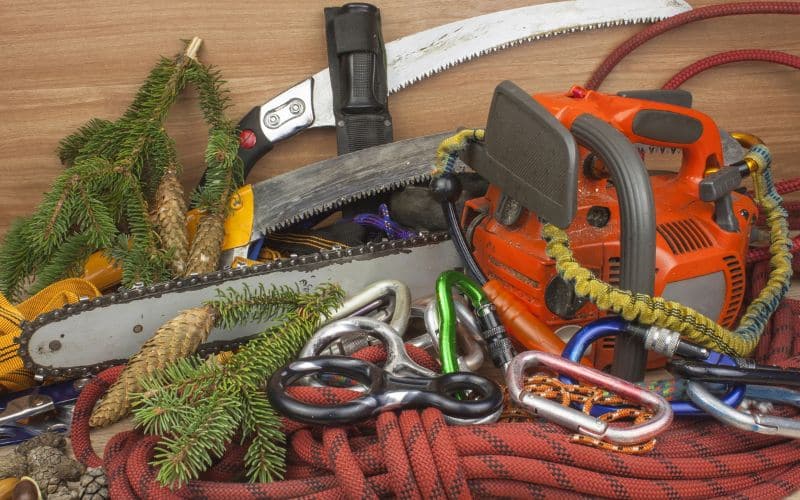 Various tree trimming tools including pruning shears, lopping shears, and saws.