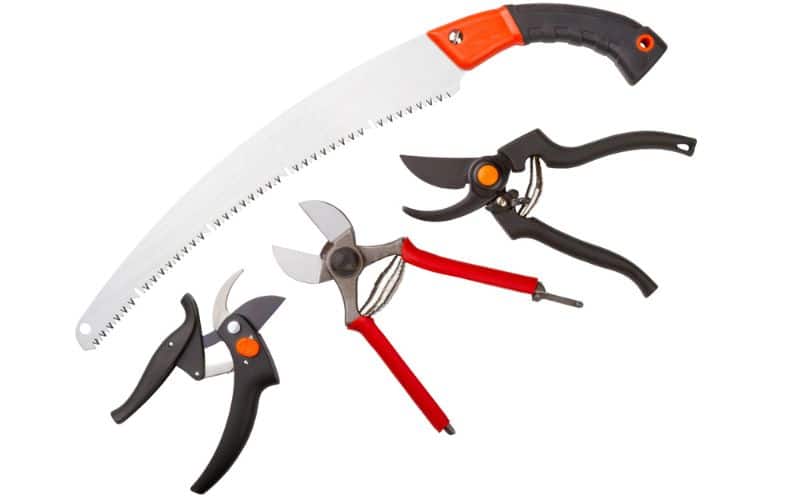 Various pruning tools for apple trees including shears, loppers, and pruning saw
