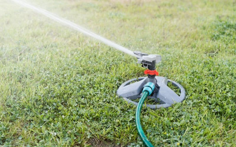 Effective lawn watering techniques for grass seed germination