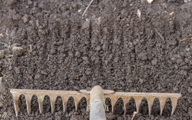Preparing soil for lawn with proper pH balance and nutrient content