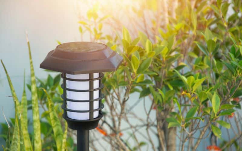 Maintaining solar lights in a garden, highlighting low-maintenance outdoor lighting
