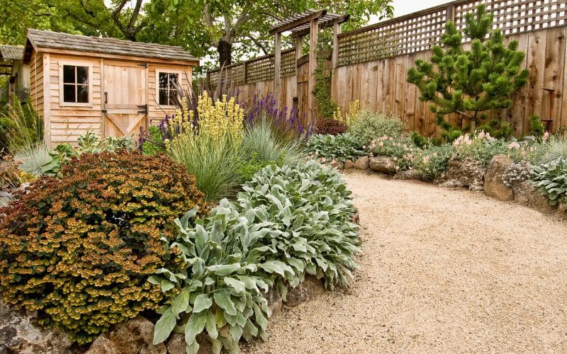 Strategic garden design with specific plants and layout to deter raccoons and other wildlife.