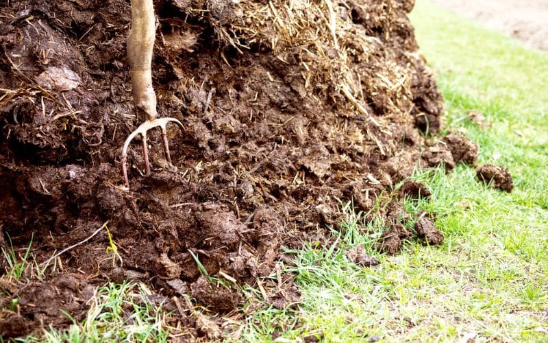 Soil aeration techniques near tree roots